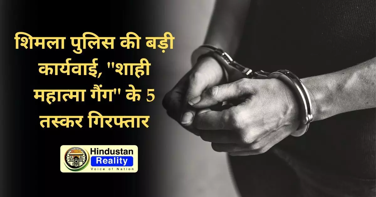 Himachal Crime News: शिमला पुलिस की बड़ी कार्यवाई, शाही महात्मा गैंग के 5 तस्कर गिरफ्तार