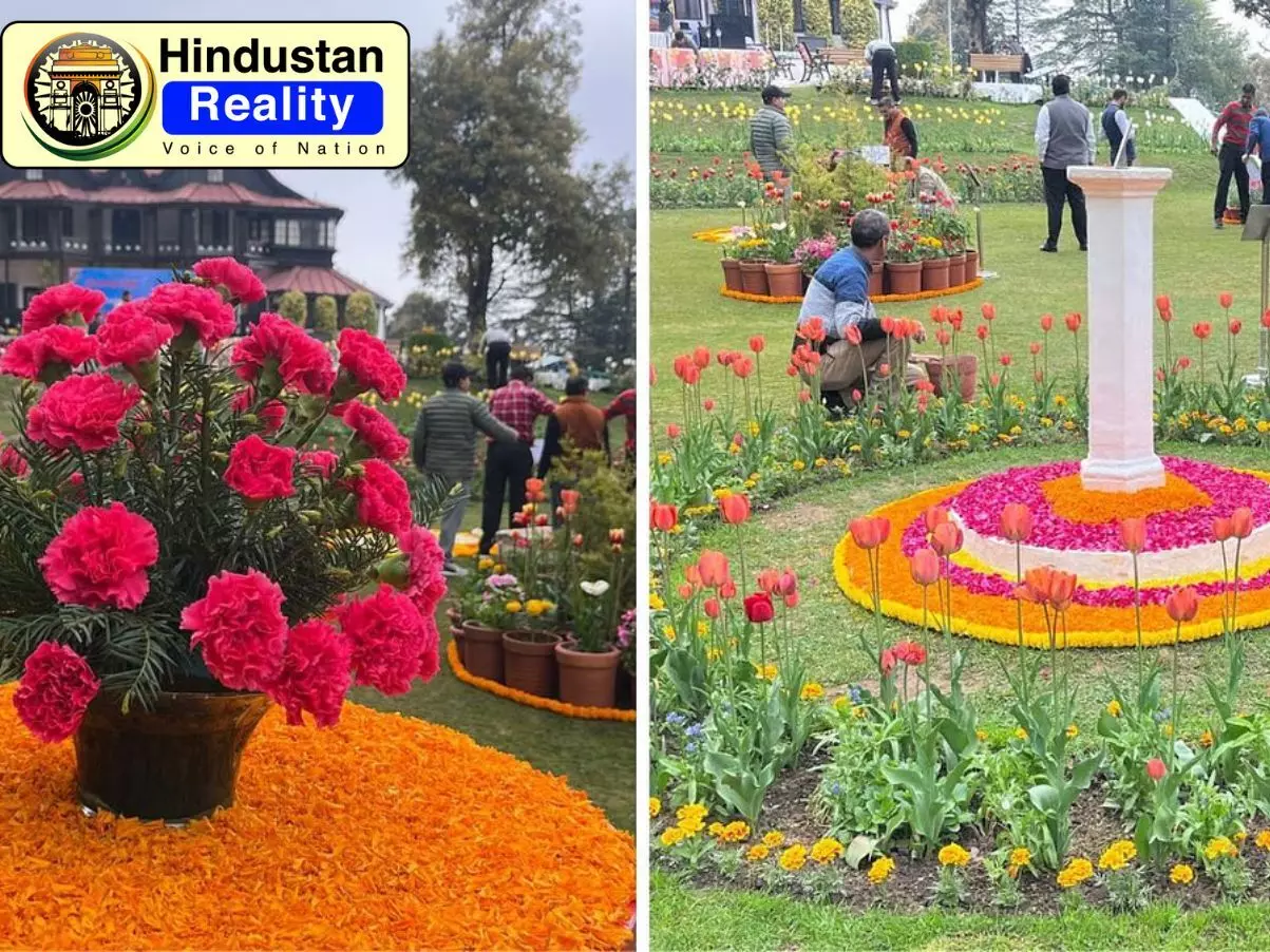 Shimla News Today: शिमला दौरे से पहले राष्ट्रपति भवन में फूलों की बहार