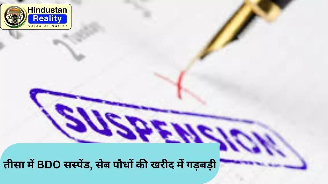 Chamba Today News: तीसा में BDO सस्पेंड, सेब पौधों की खरीद में गड़बड़ी Chamba Today News: तीसा में BDO सस्पेंड, सेब पौधों की खरीद में गड़बड़ी