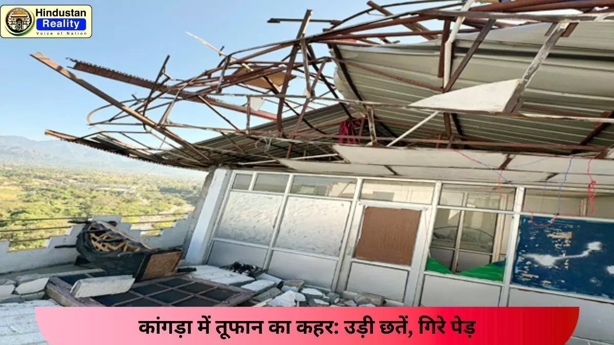 Kangra Today News: कांगड़ा में तूफान का कहर: उड़ी छतें, गिरे पेड़ Kangra Today News: कांगड़ा में तूफान का कहर: उड़ी छतें, गिरे पेड़