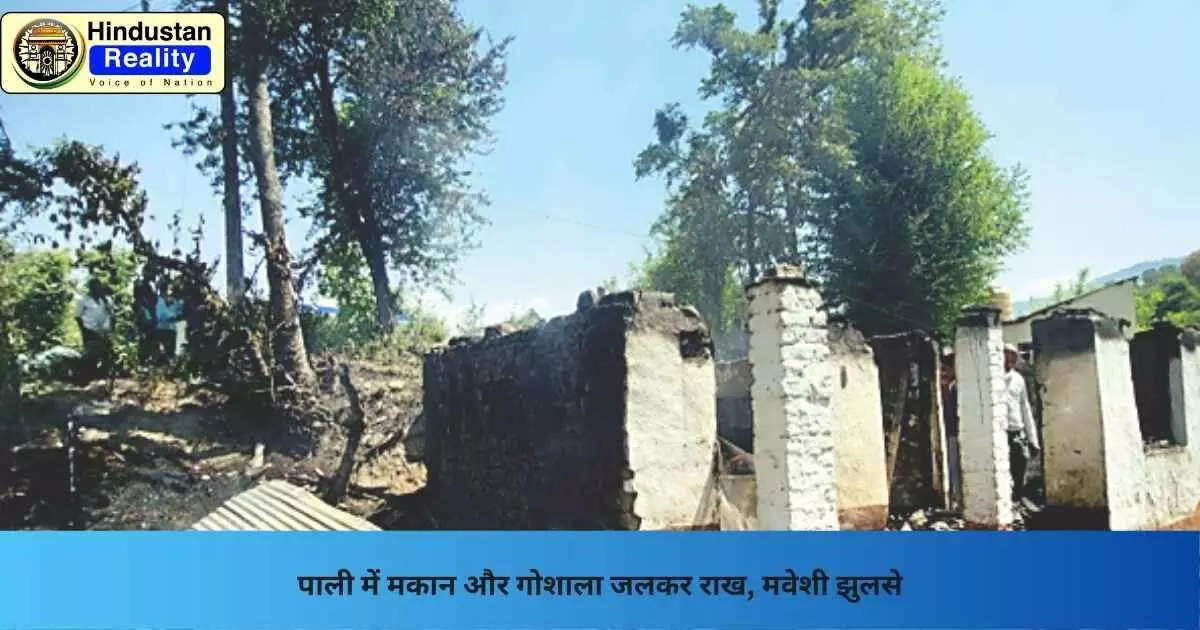 Mandi News: पाली में मकान और गोशाला जलकर राख, मवेशी झुलसे Mandi News: पाली में मकान और गोशाला जलकर राख, मवेशी झुलसे