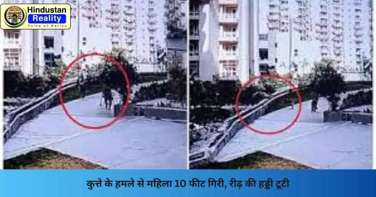Greater Noida News: कुत्ते के हमले से महिला 10 फीट गिरी, रीढ़ की हड्डी टूटी Greater Noida News: कुत्ते के हमले से महिला 10 फीट गिरी, रीढ़ की हड्डी टूटी
