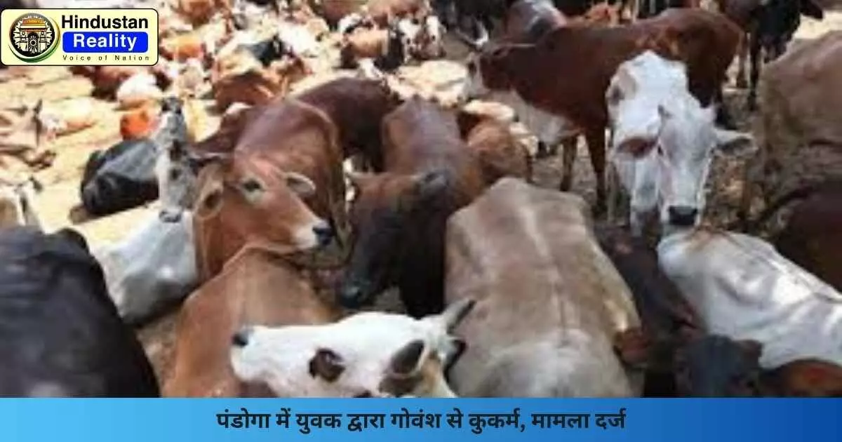 Una News: पंडोगा में युवक द्वारा गोवंश से कुकर्म, मामला दर्ज Una News: पंडोगा में युवक द्वारा गोवंश से कुकर्म, मामला दर्ज
