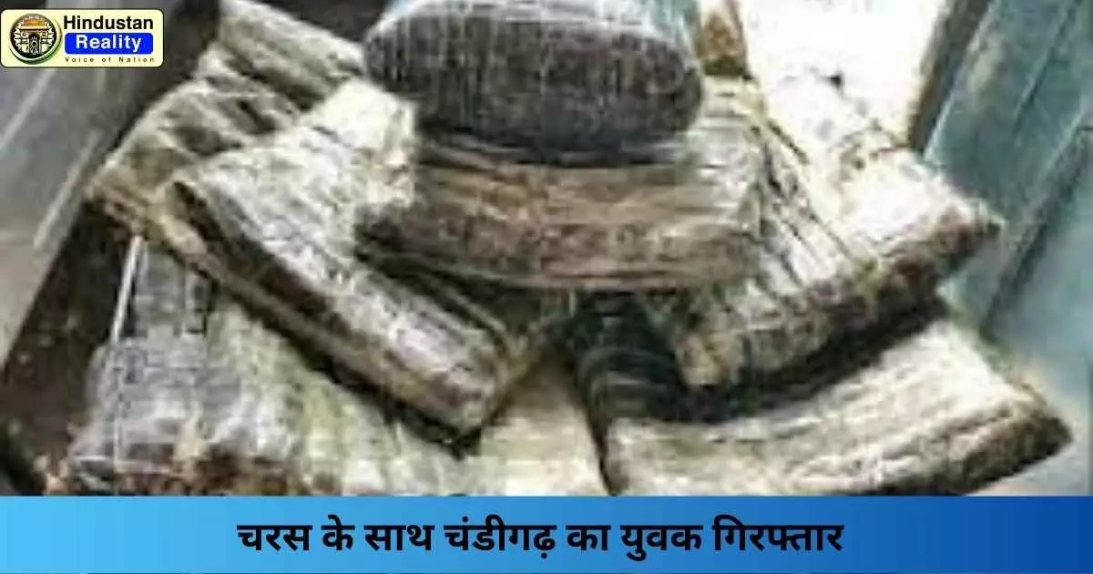 Chandigarh News: चरस के साथ चंडीगढ़ का युवक गिरफ्तार