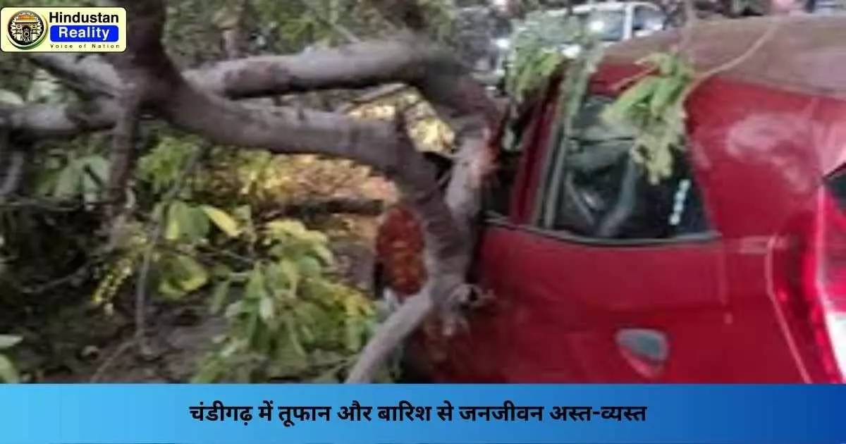 Chandigarh Weather: चंडीगढ़ में तूफान और बारिश से जनजीवन अस्त-व्यस्त Chandigarh Weather: चंडीगढ़ में तूफान और बारिश से जनजीवन अस्त-व्यस्त